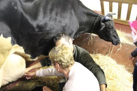 Imagen Los residentes del C.A.M.P. El Sotillo visitan la Granja-Escuela Puerta del Campo y el Palacio Real de La Granja
