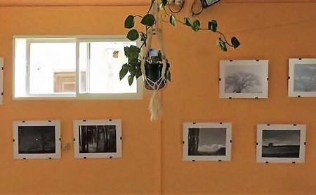 Imagen EXPOSICIÓN FOTOGRÁFICA ÁRBOLES DE AHUSÍN